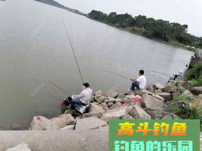 小白到大师就差这几步，做好鱼几点，钓鱼不再难