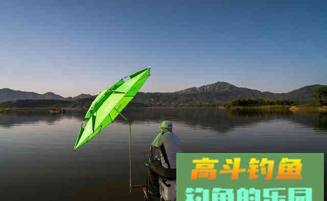 从原因到钓法为你解析底钓没口的垂钓现象