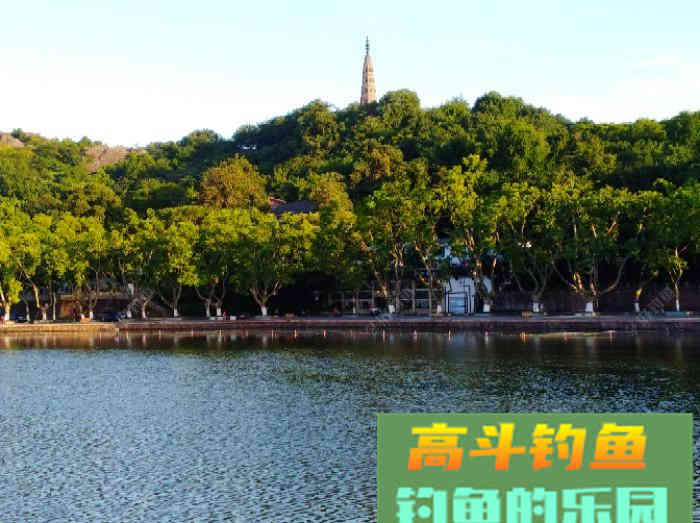 聊：钓轻口鱼的几点体会，助你更好的钓鱼