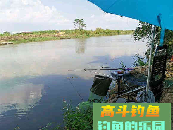 如何钓好离底？哪些情况下该钓离底