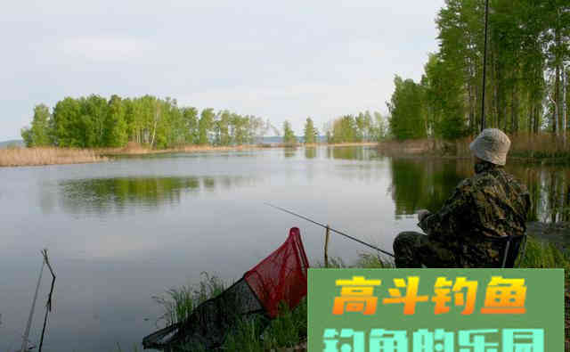 掌握这些一准不吃亏，对提升渔获帮助很大
