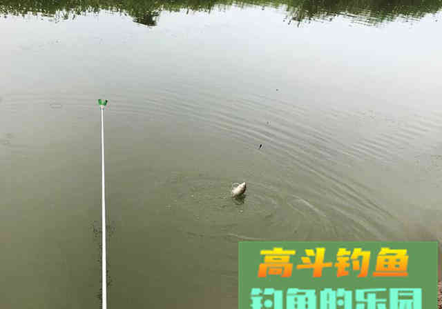 初学钓鱼，不想走弯路，要牢记这8大注意事项