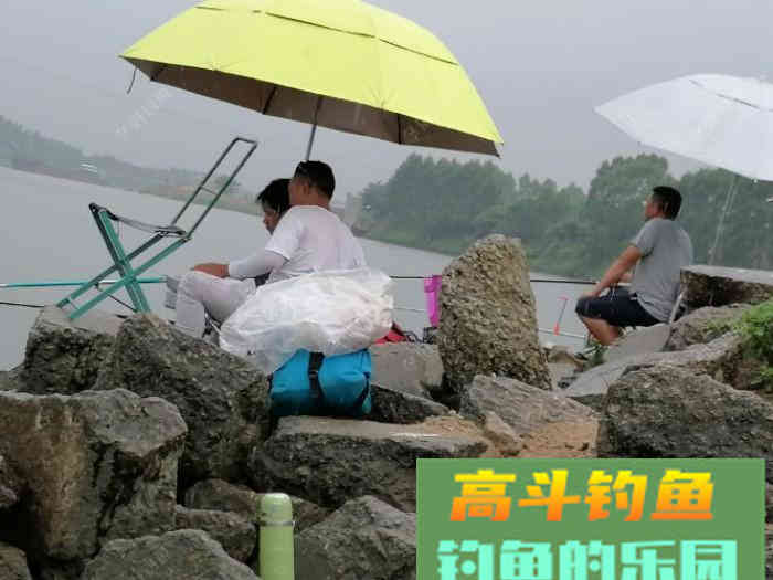 小白到大师就差这几步，做好鱼几点，钓鱼不再难