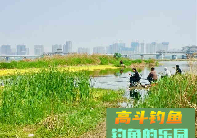 钓不到鱼就归结为屁股没坐对？您还别不信