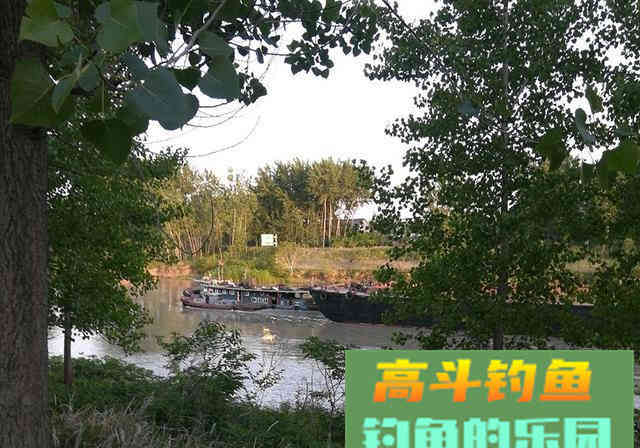 新手钓鱼牢记3不要，钓好鱼不是什么难事