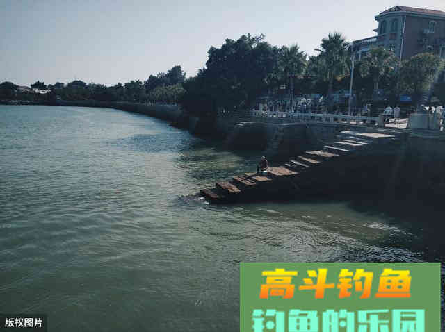 退水鱼难钓，真的是这样吗