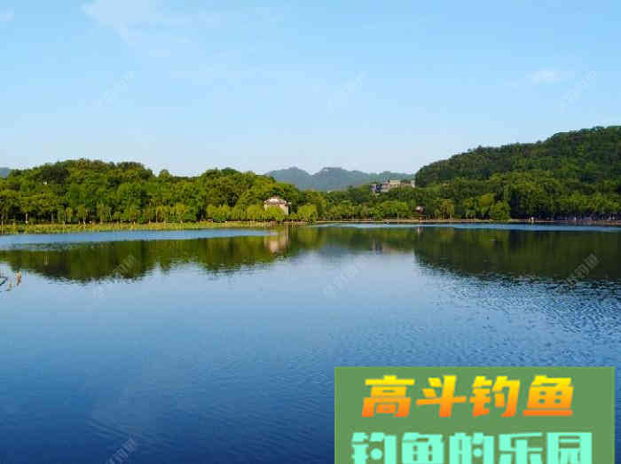 聊：钓轻口鱼的几点体会，助你更好的钓鱼