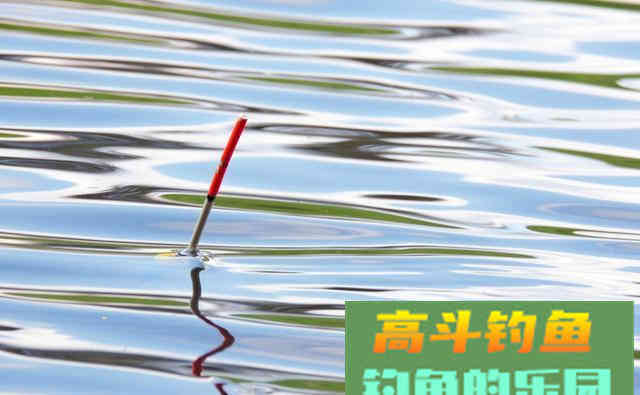 老钓友解析野钓切线的两大原因