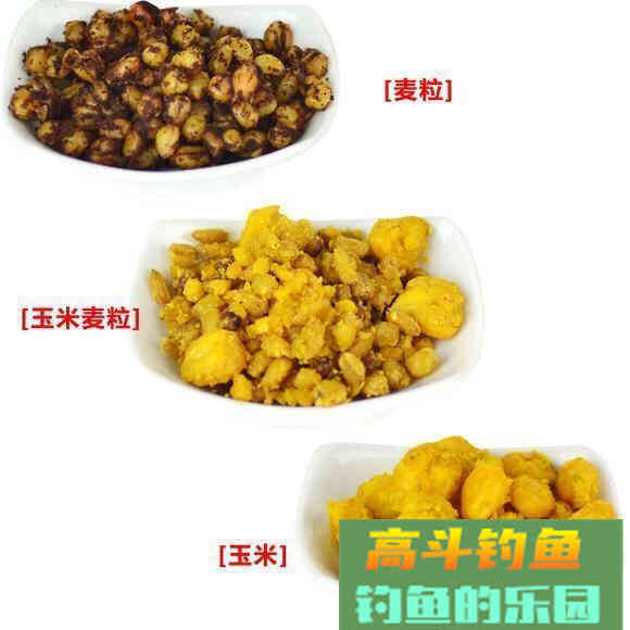 作钓目标鱼需要做好哪些工作