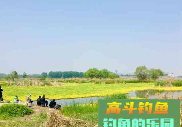 钓不到鱼就归结为屁股没坐对？您还别不信