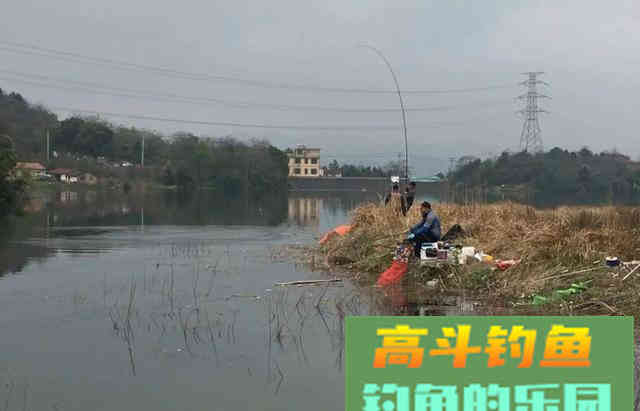 出现黑漂一定要提竿？不一定