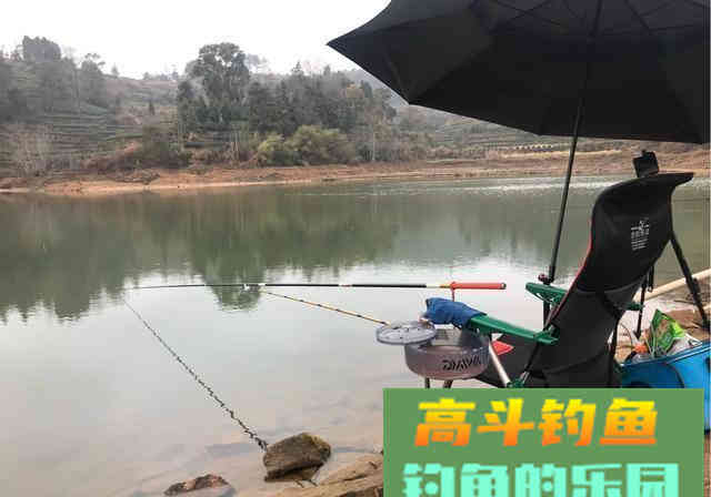 钓鱼圈的不听老人言，吃亏在眼前