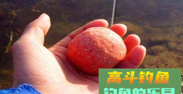 新手钓鱼，记住这4点，钓鱼不再难