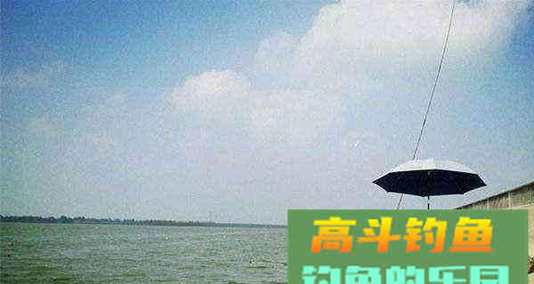 野钓知识大全，新手福音，初钓者必须了解的一些知识