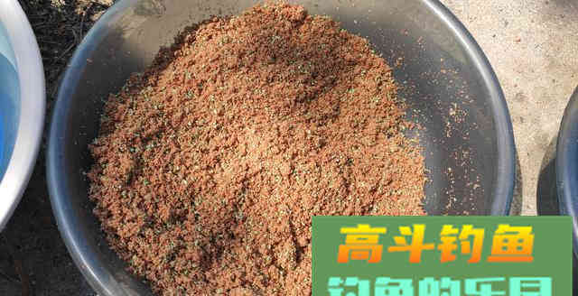 从原因到钓法为你解析底钓没口的垂钓现象