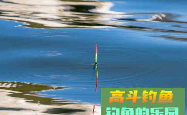 轻口鱼、滑口鱼有哪些特征？垂钓时停口如何应对