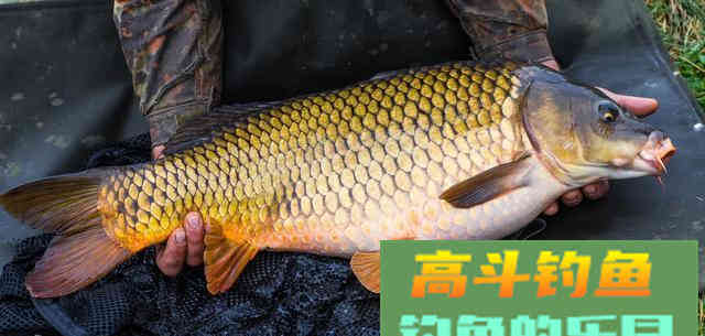 来到水边不要急着下竿，花些时间把这些做好
