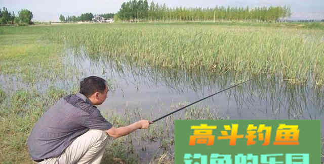 浅水多草钓滩涂，卧漂看不见，立漂易挂草，怎么办