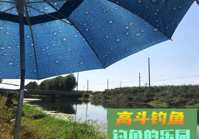 新手钓友牢记钓鱼7忌，虽不能助你多钓，但不让你放炮