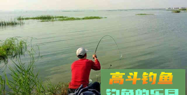 下面3招能让你的鱼直接上岸
