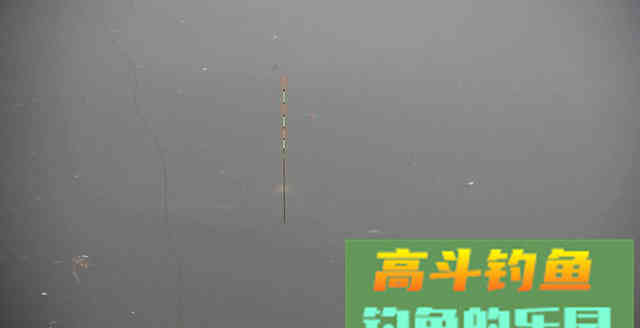 新手钓鱼，记住这4点，钓鱼不再难