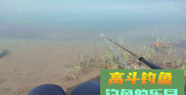 新手钓鱼，记住这4点，钓鱼不再难