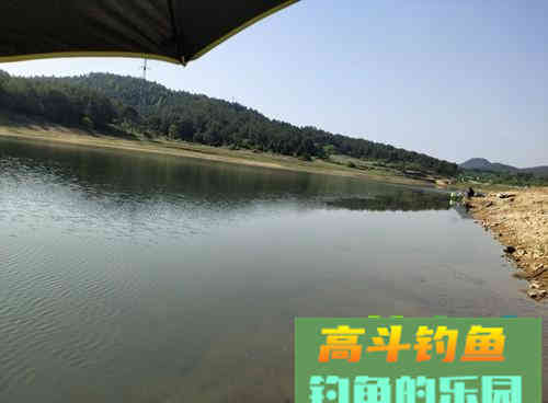 老钓友解析野钓切线的两大原因