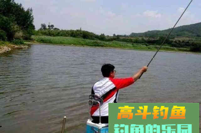 改掉这3个错误，鱼护早就爆满了