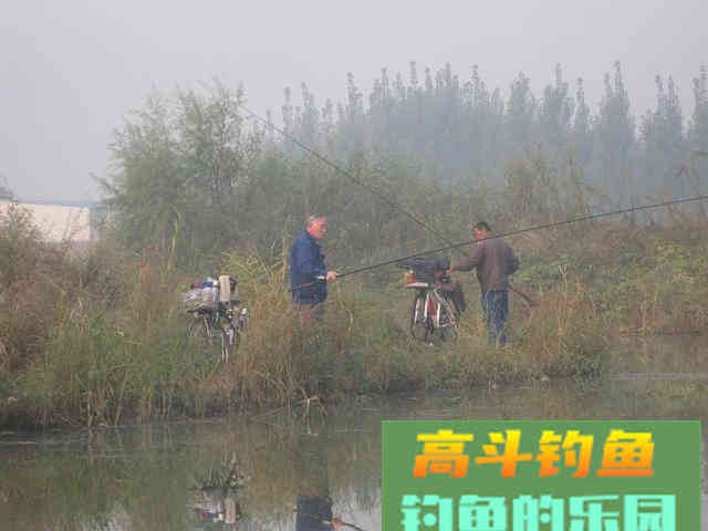 浅水多草钓滩涂，卧漂看不见，立漂易挂草，怎么办