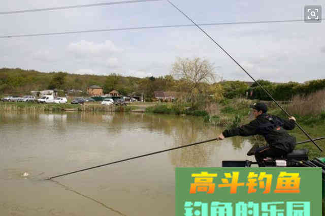 钓鱼新手和老鸟之间的区别，3个表现