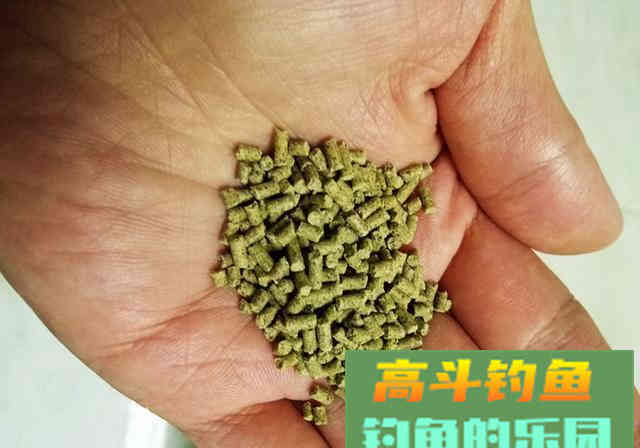 初学钓鱼，不想走弯路，要牢记这8大注意事项