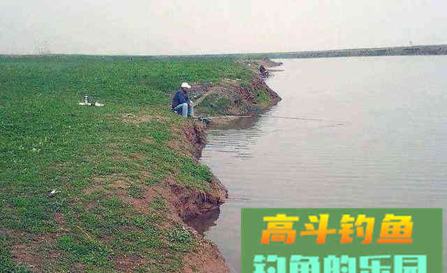 水退一尺鱼退一丈，搞明白这句话，涨落水都能钓到鱼