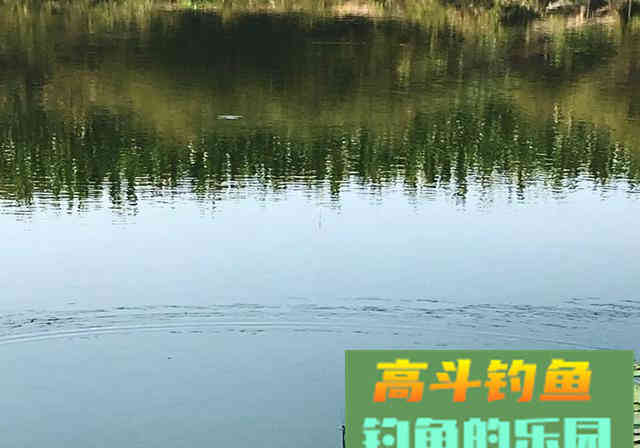 新手钓友牢记钓鱼7忌，虽不能助你多钓，但不让你放炮