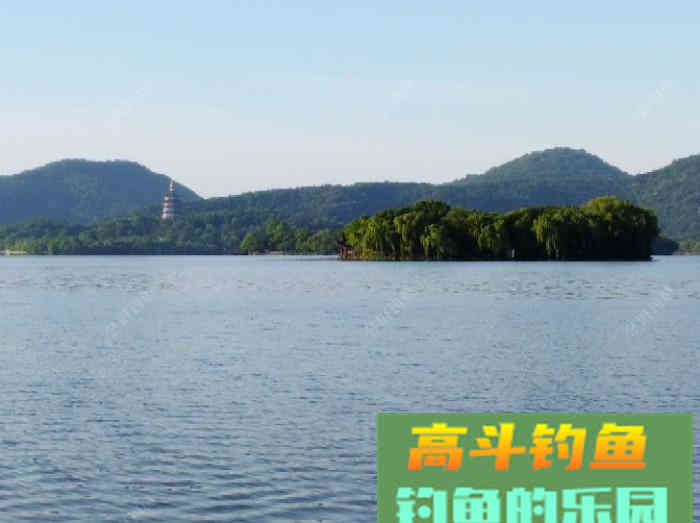 聊：钓轻口鱼的几点体会，助你更好的钓鱼