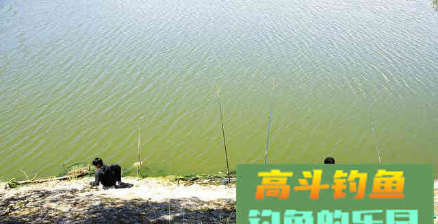这些坏习惯影响着你的钓获，不引起重视难怪经常空军