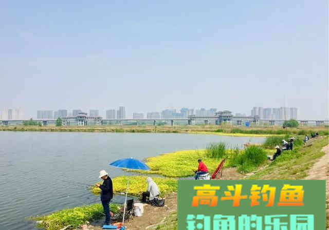 钓不到鱼就归结为屁股没坐对？您还别不信