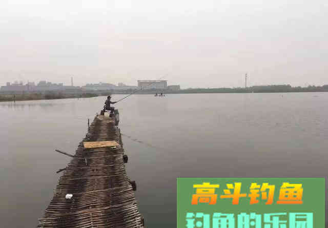 出现黑漂一定要提竿？不一定