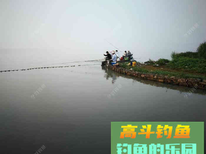 小白到大师就差这几步，做好鱼几点，钓鱼不再难