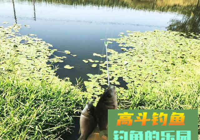 新手钓友牢记钓鱼7忌，虽不能助你多钓，但不让你放炮