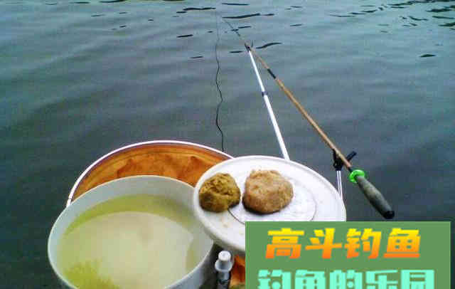 水中有鱼不咬钩，诱因很简单，只是不了解而已