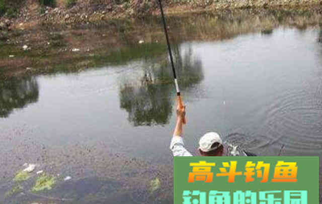 水中有鱼不咬钩，诱因很简单，只是不了解而已