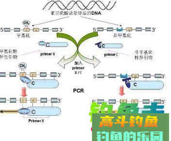 野钓时补窝就停口，难道真的是动静太大吓着鱼了么