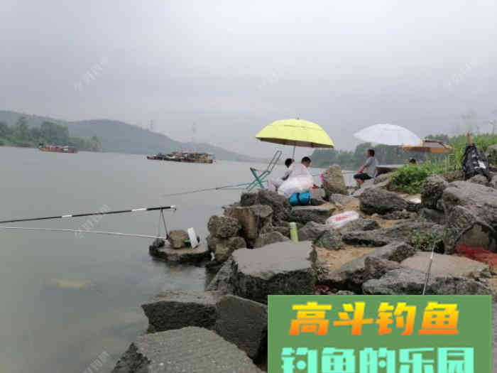小白到大师就差这几步，做好鱼几点，钓鱼不再难