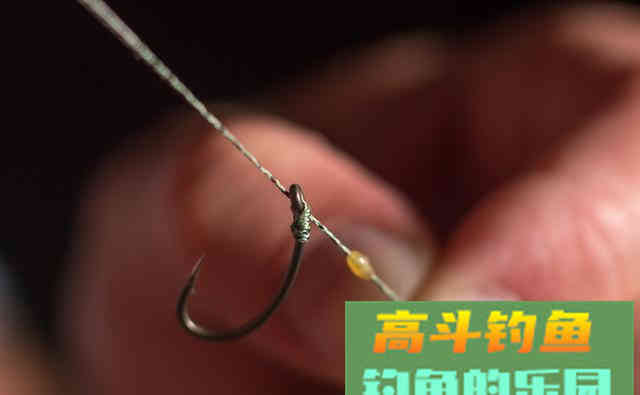 同样的饵料，同水域垂钓为何效果不同