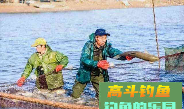 野钓时补窝就停口，难道真的是动静太大吓着鱼了么