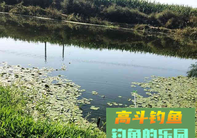新手钓友牢记钓鱼7忌，虽不能助你多钓，但不让你放炮