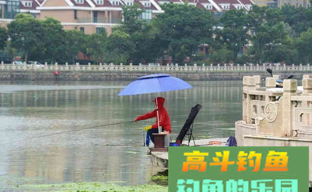 这些因素都会影响到渔获，钓友你都知道吗