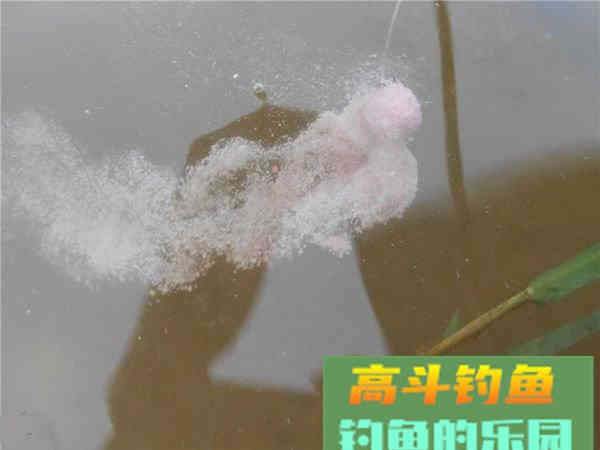 为什么说找对鱼层钓对水层，想要空军都难