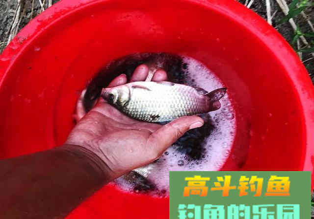 初学钓鱼，不想走弯路，要牢记这8大注意事项