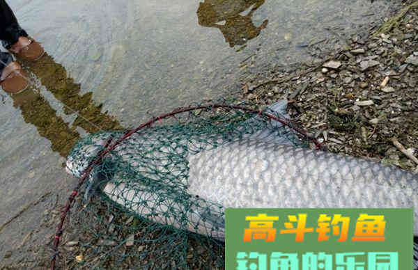 勤学苦练之后，钓技还是不提高，看看几个原因